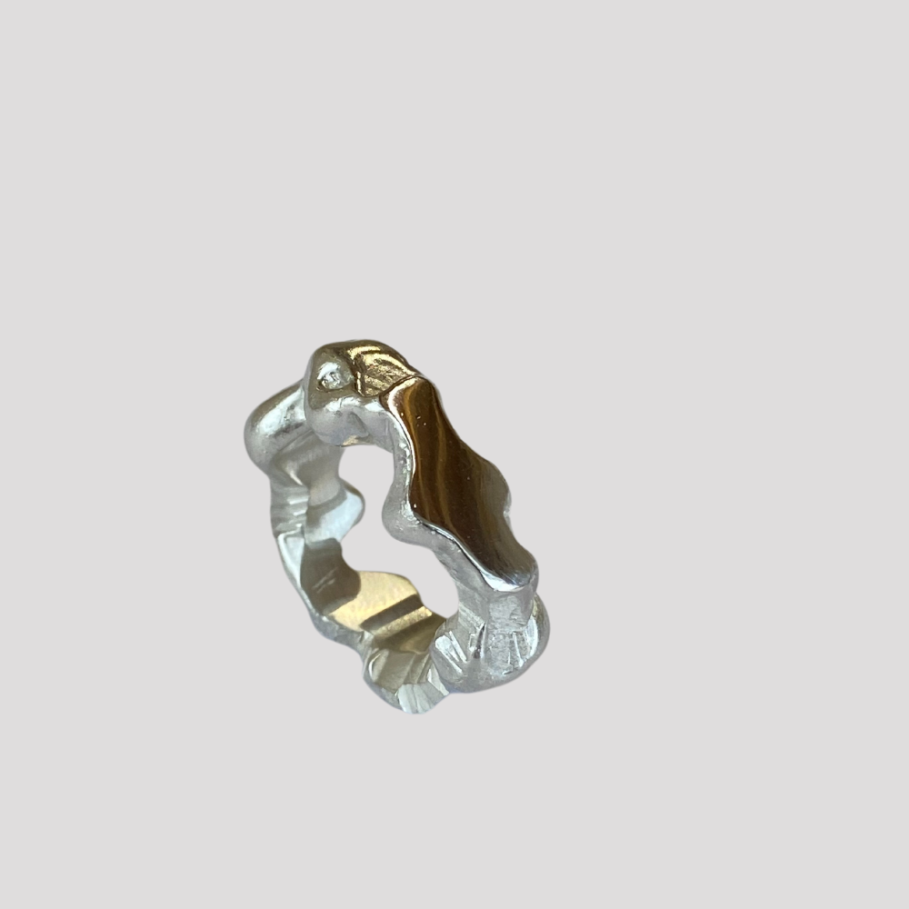 Casting in Silver (DIY kit ONLY)