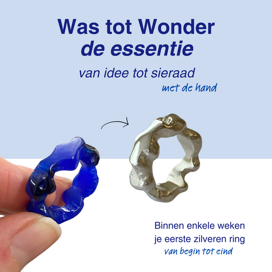 Was tot Wonder - de essentie